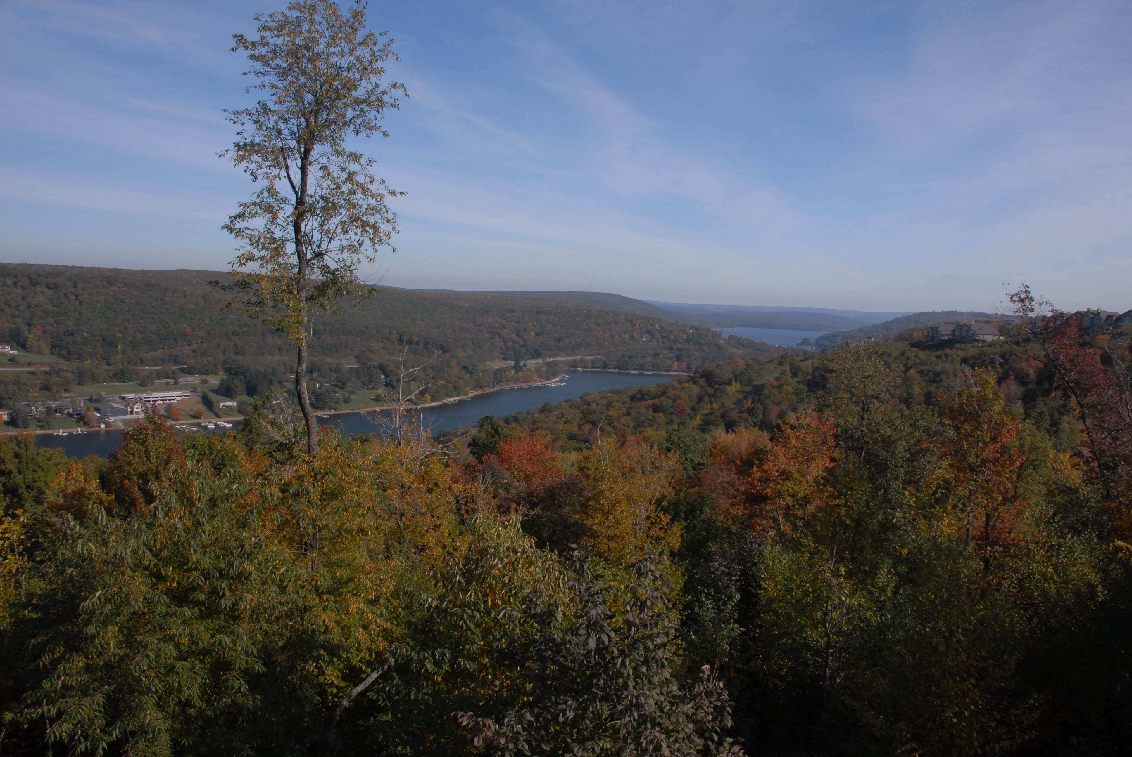 oneagl_view.JPG
