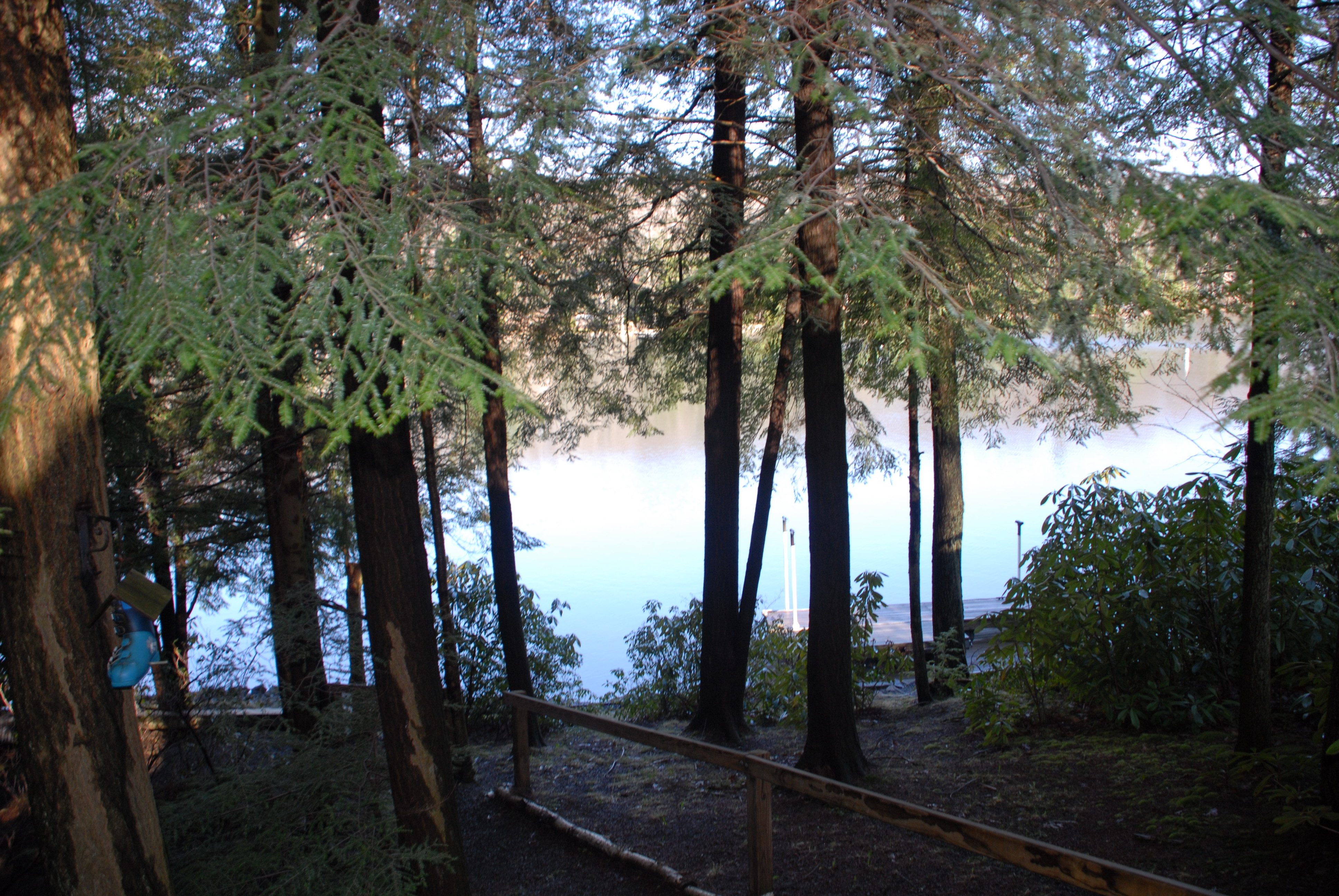 Hemlock_view.JPG
