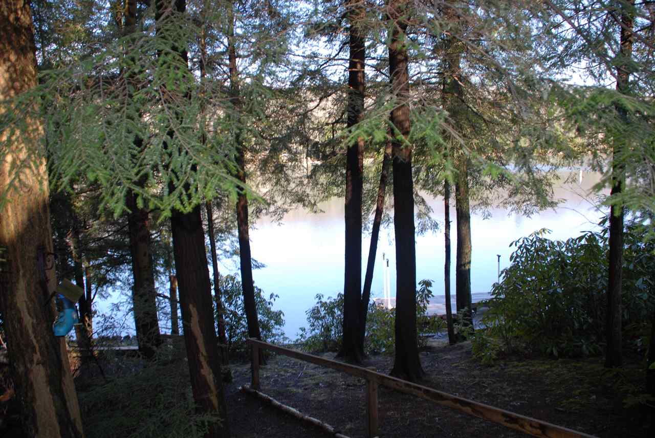 resized-2349823-Hemlock_view.JPG