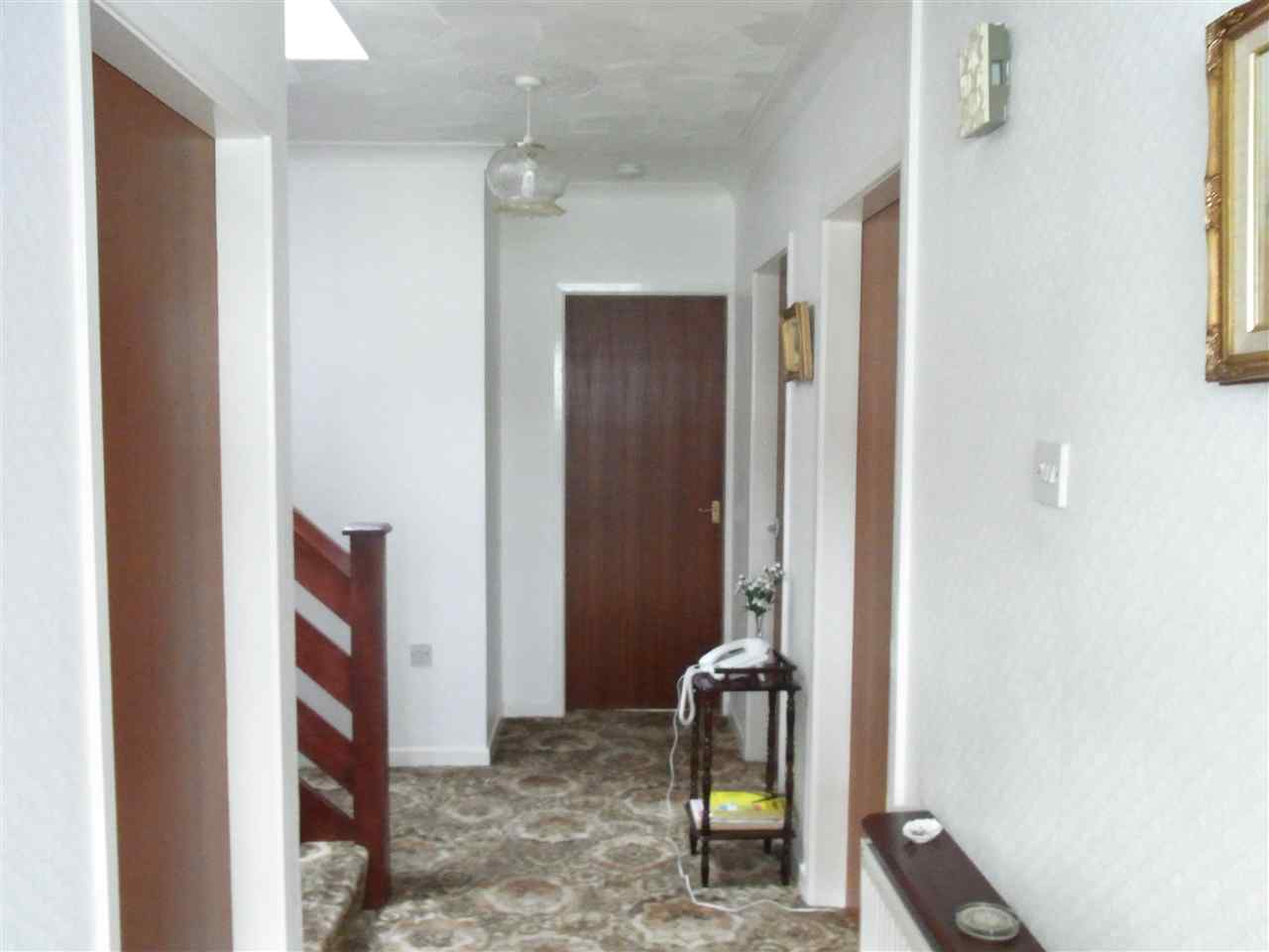 resized-2349823-RIMG0165.JPG