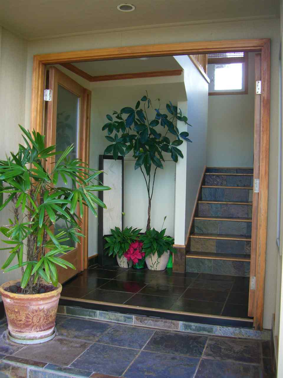 resized-2349823-CIMG1785.JPG
