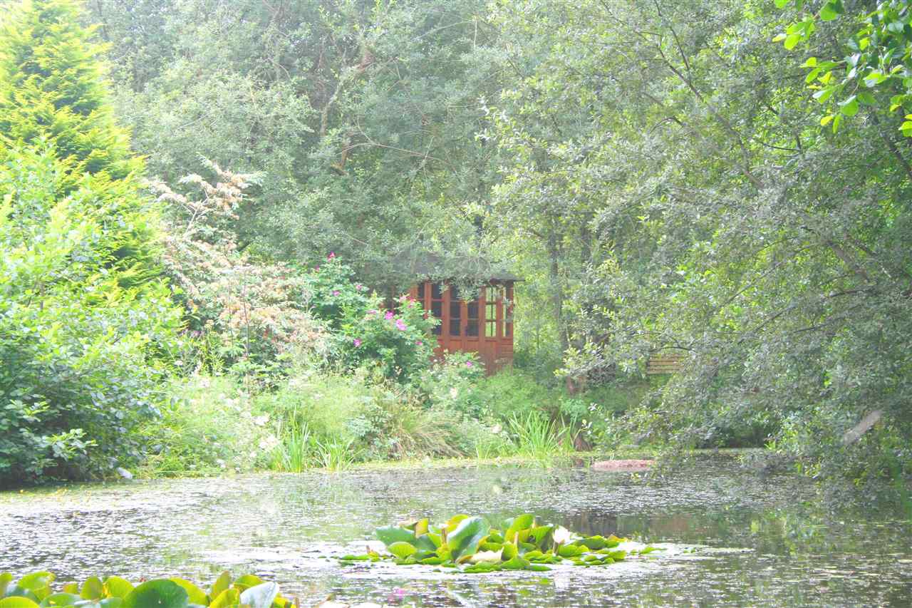 resized-2349823-pond_rapley.JPG
