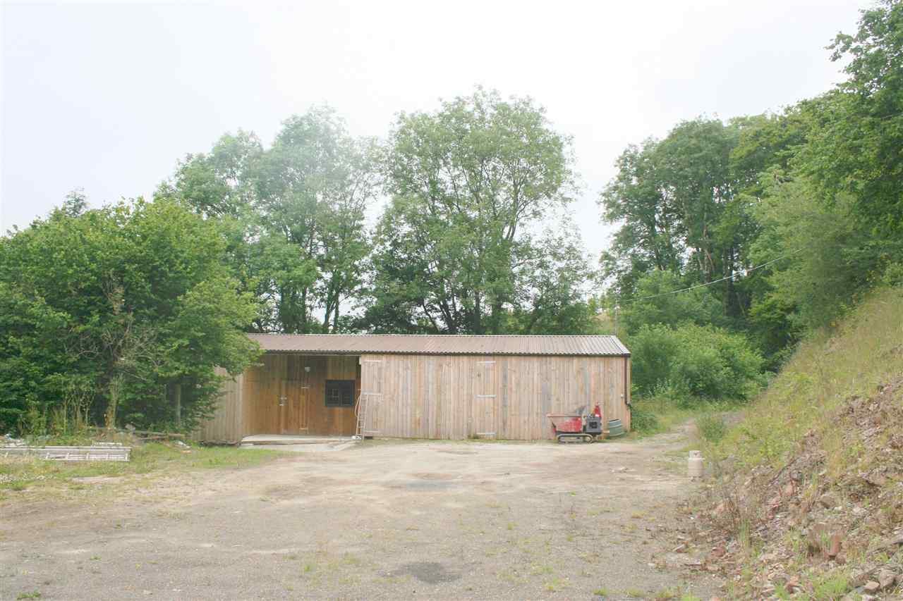 resized-2349823-shed_rapley.JPG